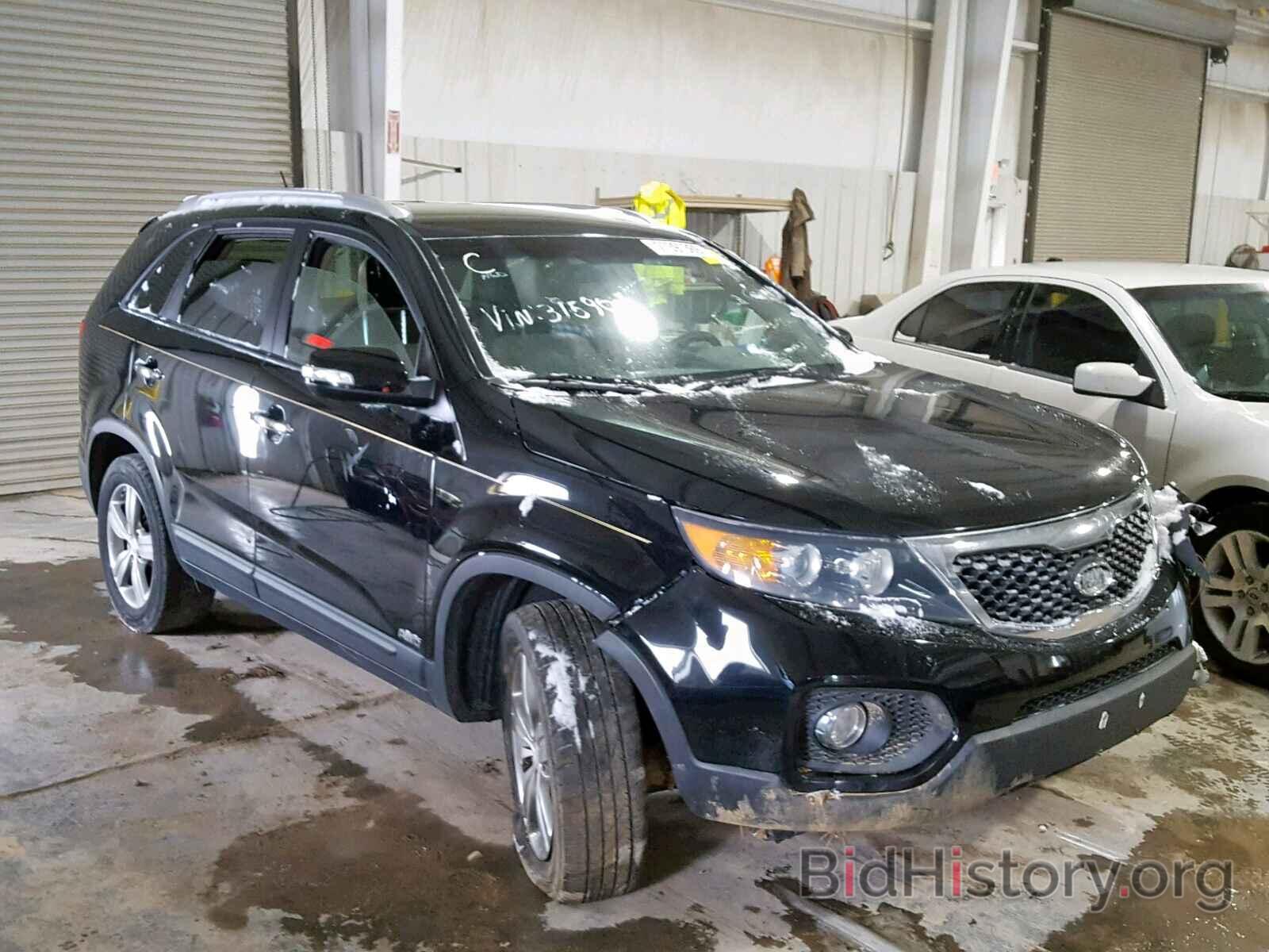 Фотография 5XYKUCA69DG315901 - KIA SORENTO EX 2013