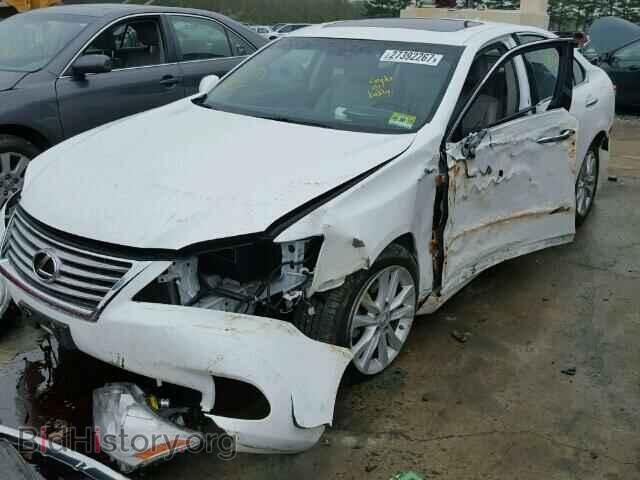 2011 LEXUS ES350 - VIN: JTHBK1EG2B2464993 - Фото 2