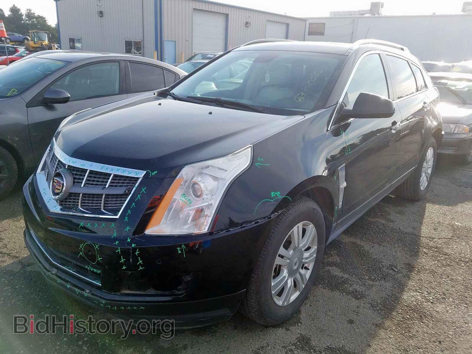 2011 CADILLAC SRX - VIN: 3GYFNAEY4BS628262 - Фото 2