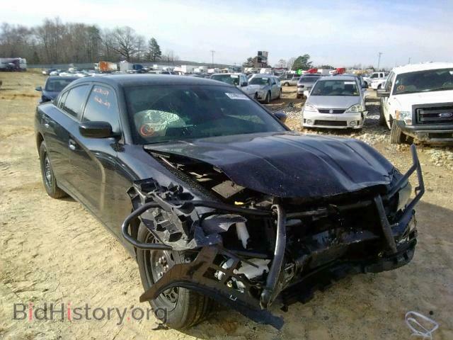 Фотография  - DODGE CHARGER 2015