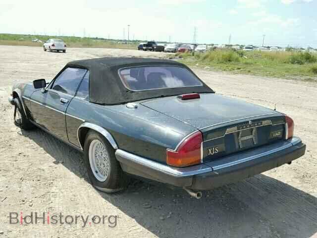 1991 JAGUAR XJS - VIN: SAJTW4841MC176572 - Фото 3