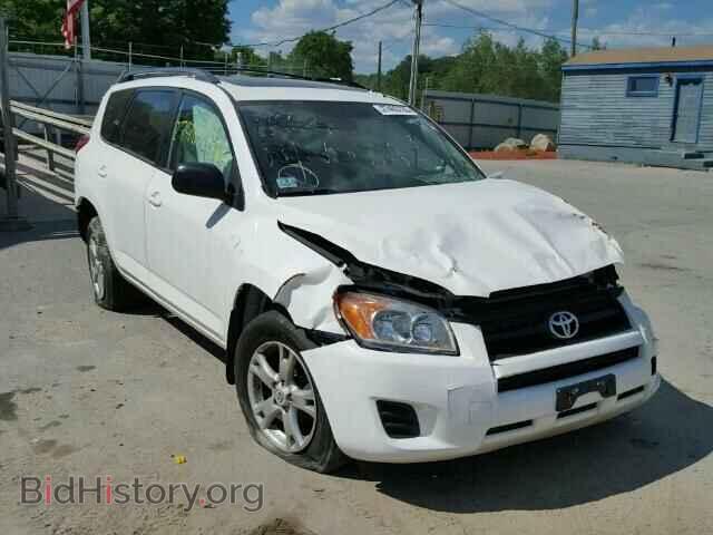 Фотография 2T3BF4DV5BW004226 - TOYOTA RAV4 2011