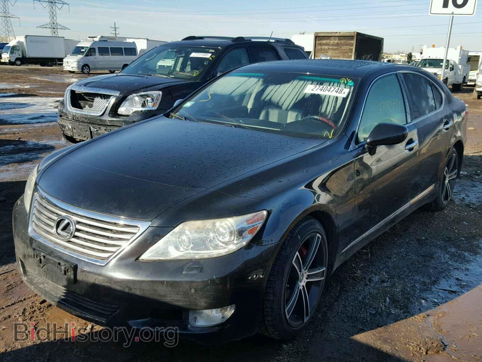 2011 LEXUS LS460 - VIN: JTHCL5EF1B5010569 - Фото 2