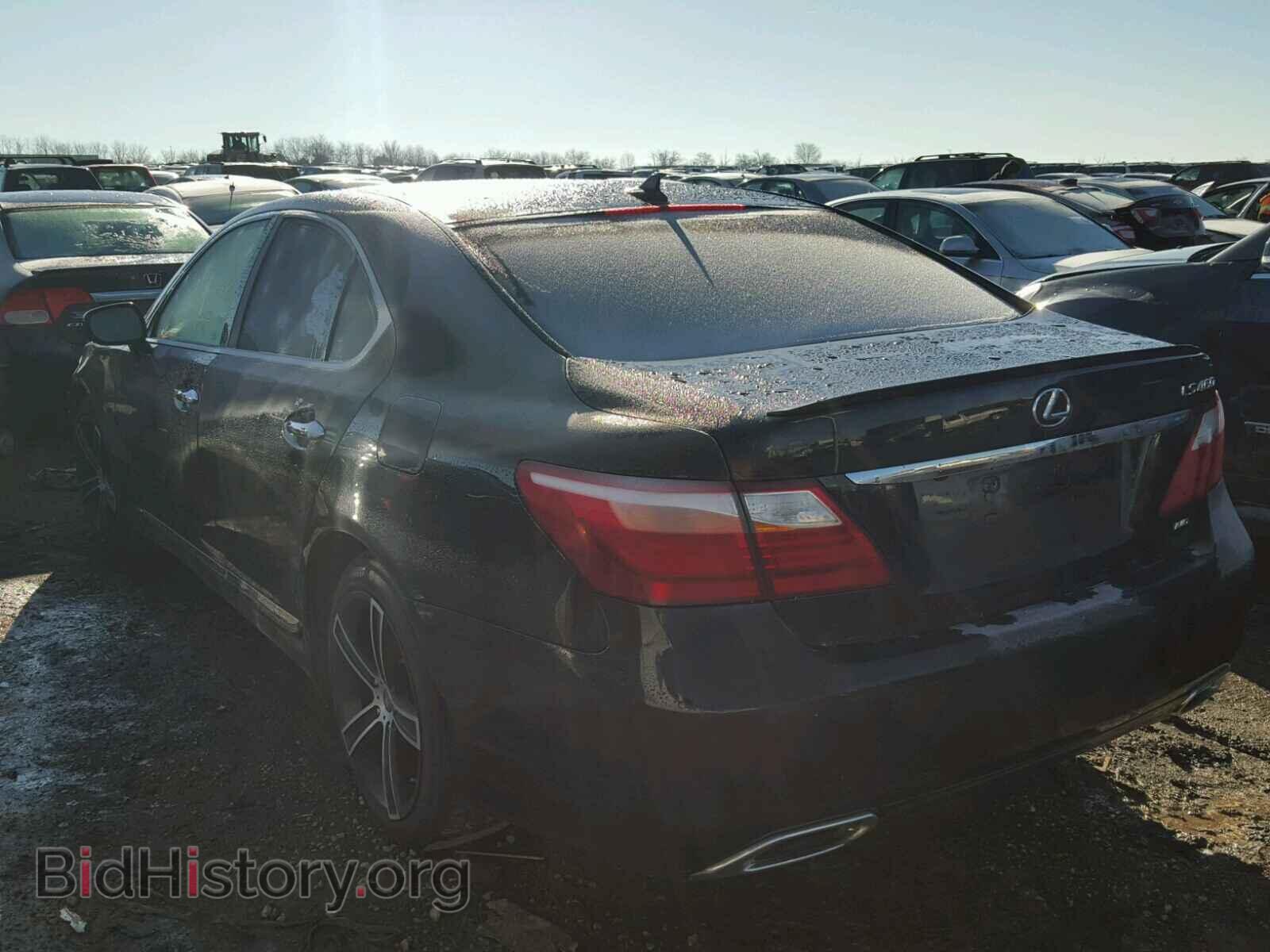 2011 LEXUS LS460 - VIN: JTHCL5EF1B5010569 - Фото 3
