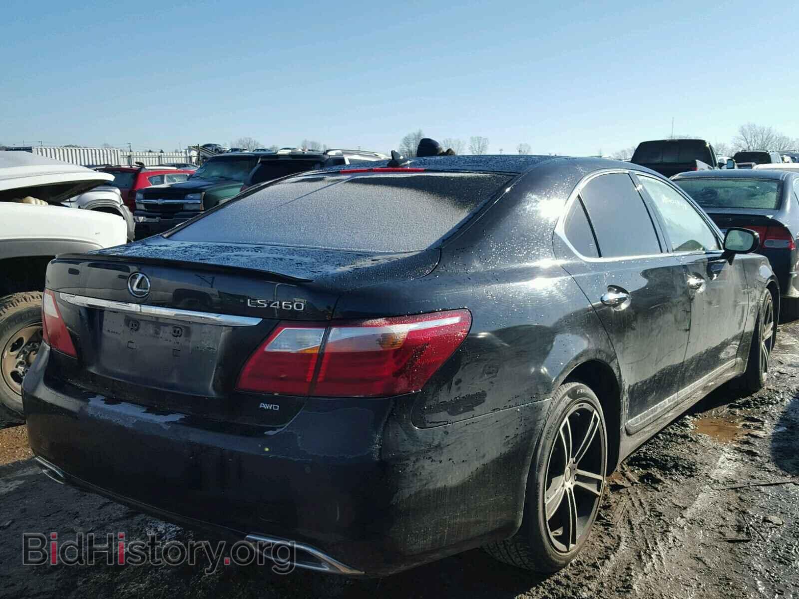 2011 LEXUS LS460 - VIN: JTHCL5EF1B5010569 - Фото 4
