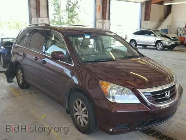 Photo 5FNRL3H70AB090612 - HONDA ODYSSEY 2010