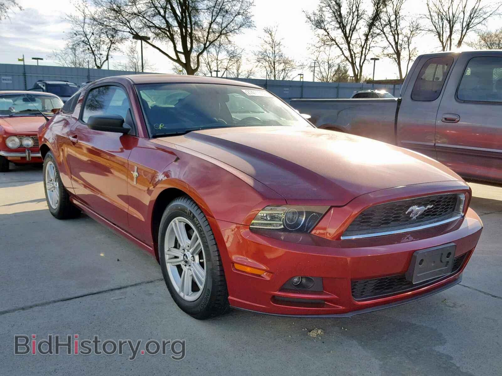 Фотография 1ZVBP8AM5E5259532 - FORD MUSTANG 2014
