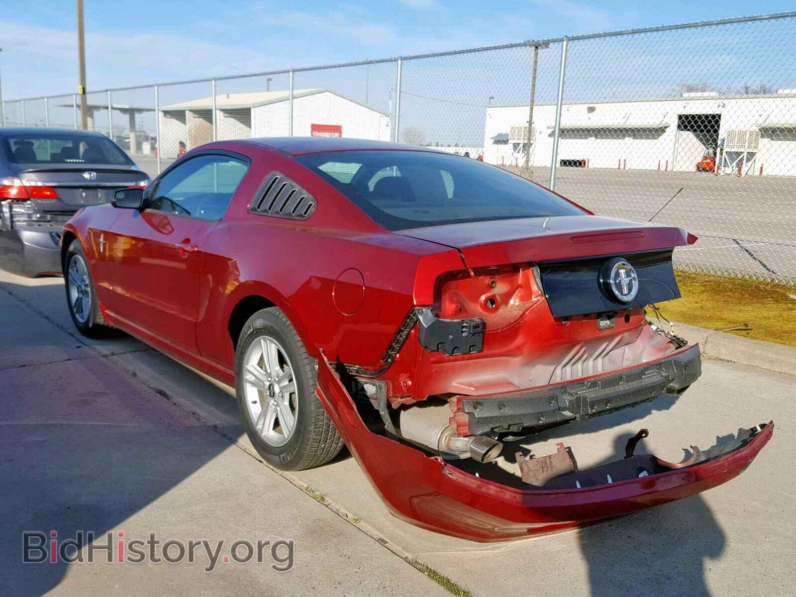 2014 FORD MUSTANG - VIN: 1ZVBP8AM5E5259532 - Фото 3