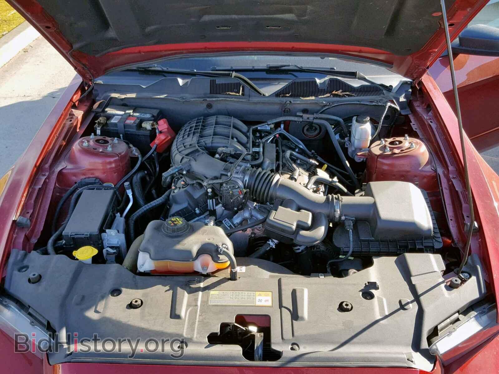 2014 FORD MUSTANG - VIN: 1ZVBP8AM5E5259532 - Фото 7