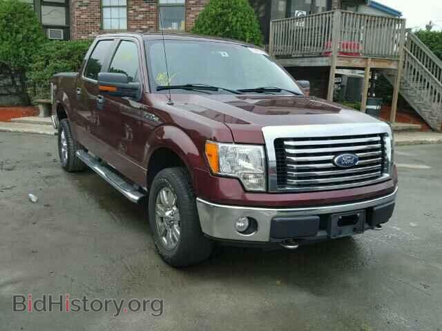 Фотография 1FTFW1EV2AFB86707 - FORD F150 2010