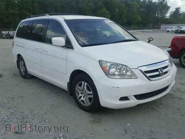 Фотография 5FNRL38465B403772 - HONDA ODYSSEY 2005