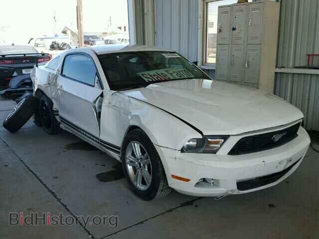 Фотография 1ZVBP8AN6A5125518 - FORD MUSTANG 2010