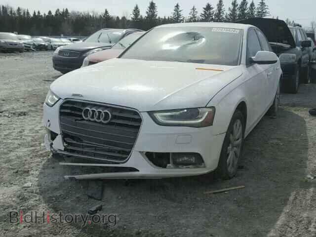 2013 AUDI A4 - VIN: WAUBFCFL1DN013243 - Фото 2