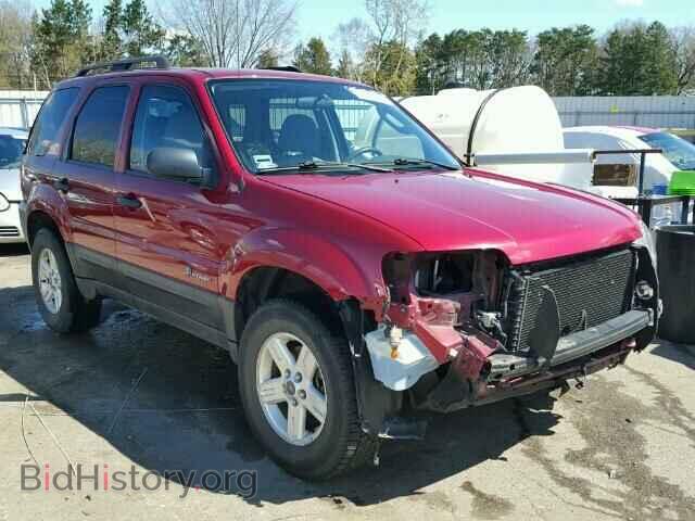 Photo 1FMCU49H87KB77049 - FORD ESCAPE 2007