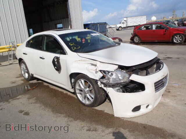 Фотография 1N4AA5AP1BC835672 - NISSAN MAXIMA 2011