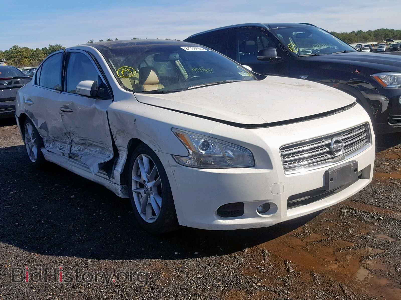 Photo 1N4AA5AP1BC854318 - NISSAN MAXIMA S 2011