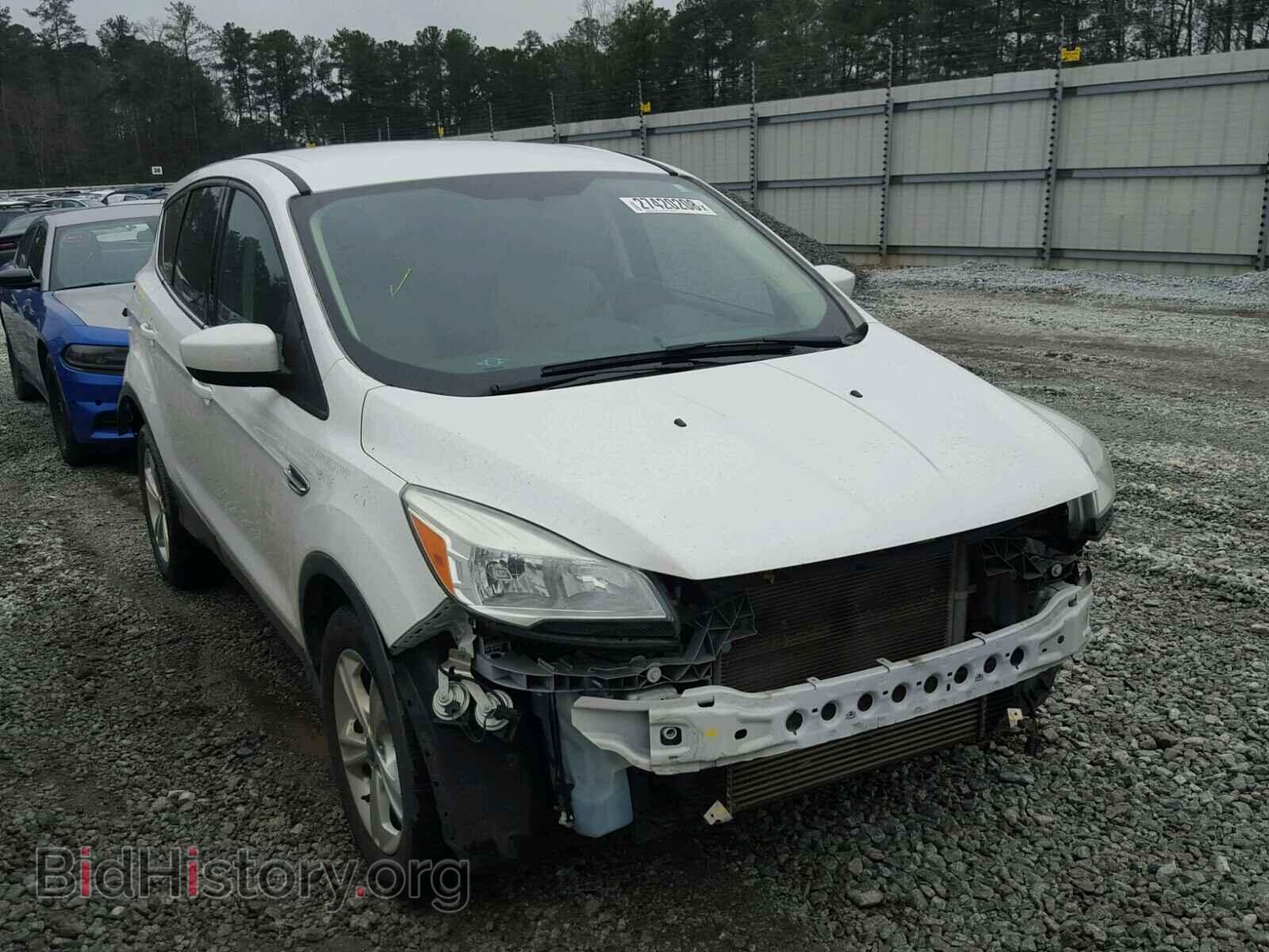 Фотография 1FMCU0GX1DUC64133 - FORD ESCAPE 2013
