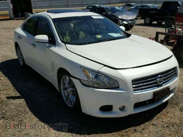 Фотография 1N4AA5AP6AC862896 - NISSAN MAXIMA 2010