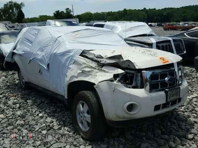 Фотография 1FMCU92769KB61613 - FORD ESCAPE 2009