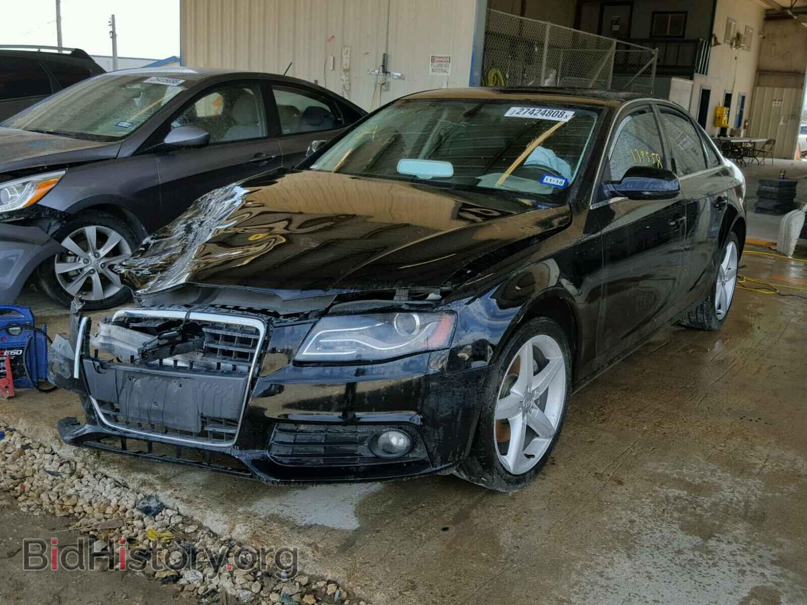 2011 AUDI A4 - VIN: WAUEFAFL3BN032696 - Фото 2