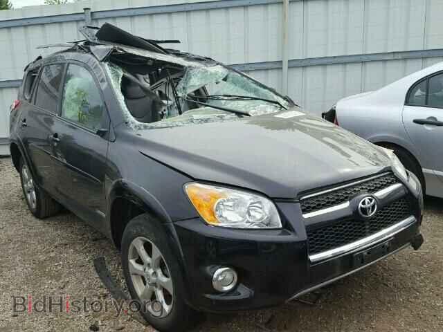 Фотография 2T3YF4DV4BW066239 - TOYOTA RAV4 2011