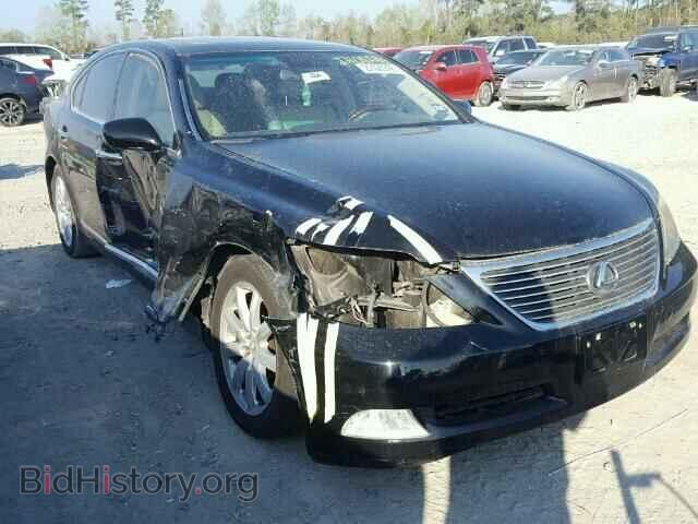 Фотография JTHBL46F785060129 - LEXUS LS460 2008