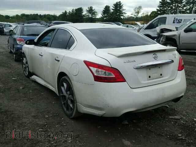 2009 NISSAN MAXIMA - VIN: 1N4AA51E29C808280 - Фото 3