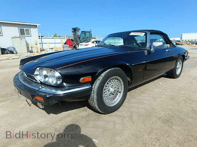 1991 JAGUAR XJS - VIN: SAJTW4847MC176558 - Фото 2