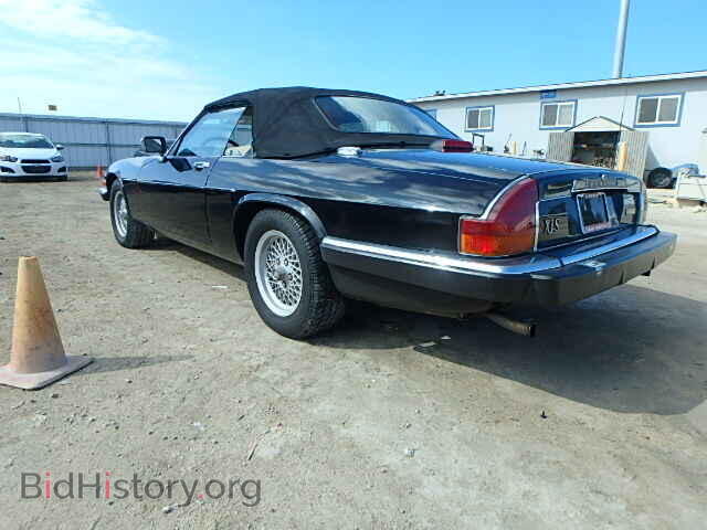 1991 JAGUAR XJS - VIN: SAJTW4847MC176558 - Фото 3