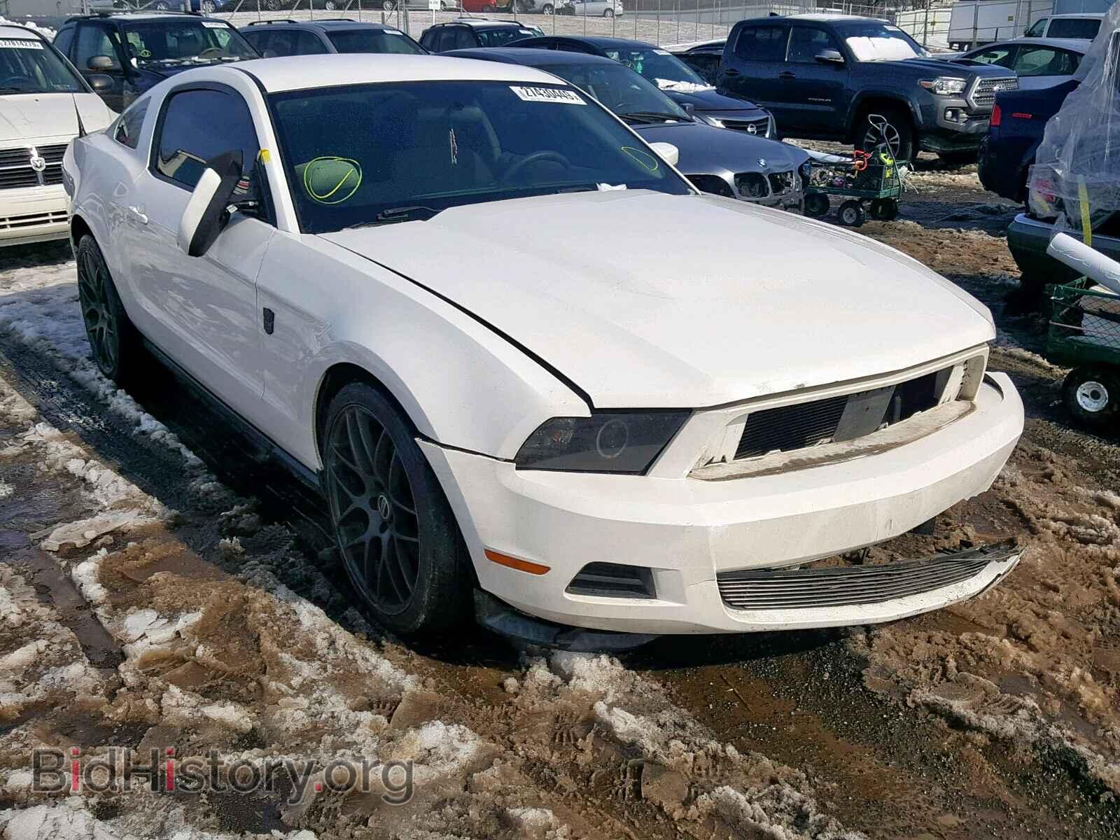 Фотография 1ZVBP8AM7B5160108 - FORD MUSTANG 2011