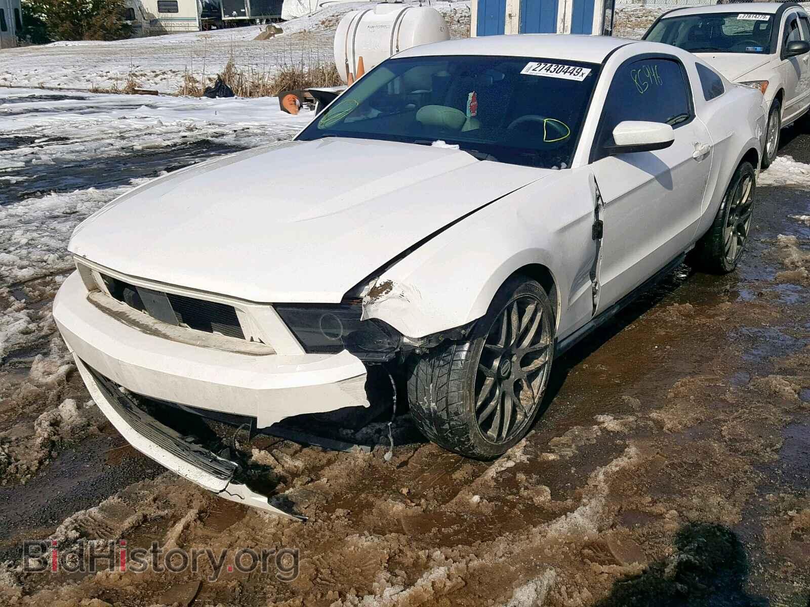 2011 FORD MUSTANG - VIN: 1ZVBP8AM7B5160108 - Фото 2