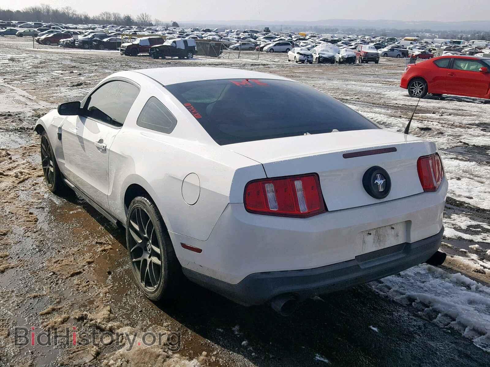 2011 FORD MUSTANG - VIN: 1ZVBP8AM7B5160108 - Фото 3