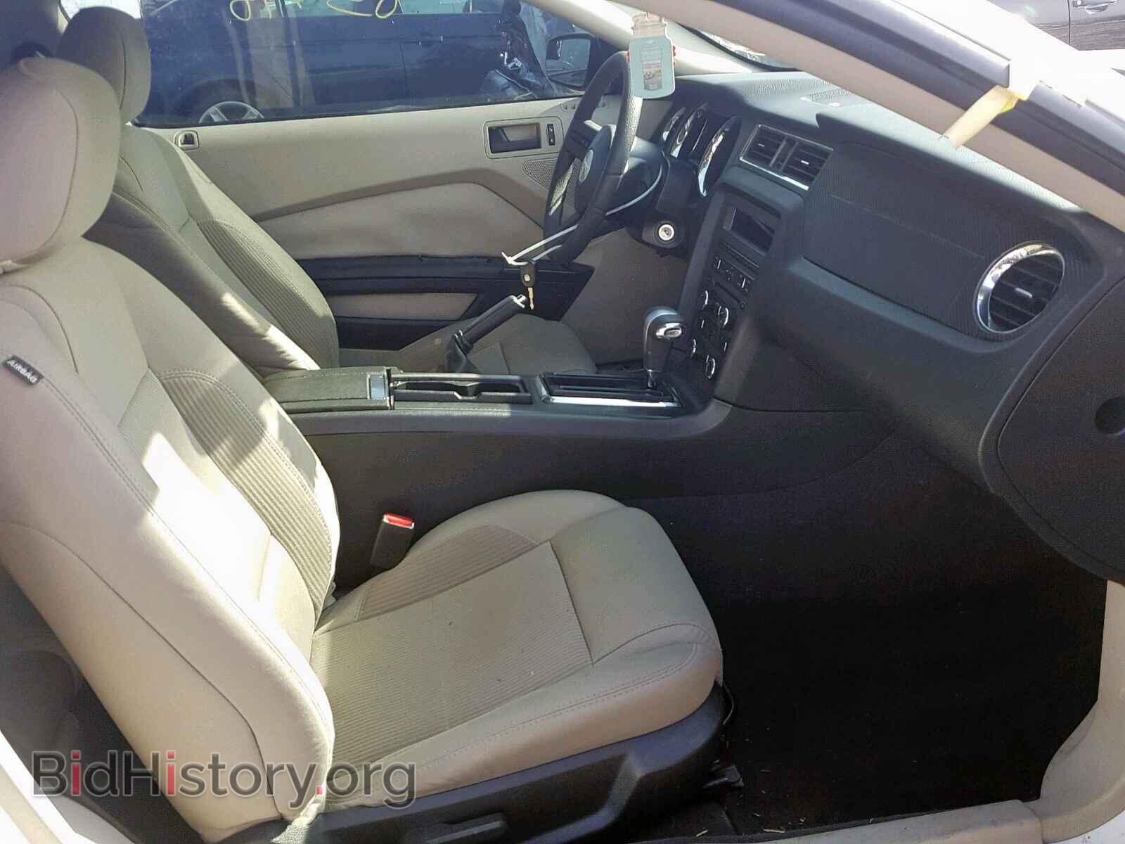 2011 FORD MUSTANG - VIN: 1ZVBP8AM7B5160108 - Фото 5