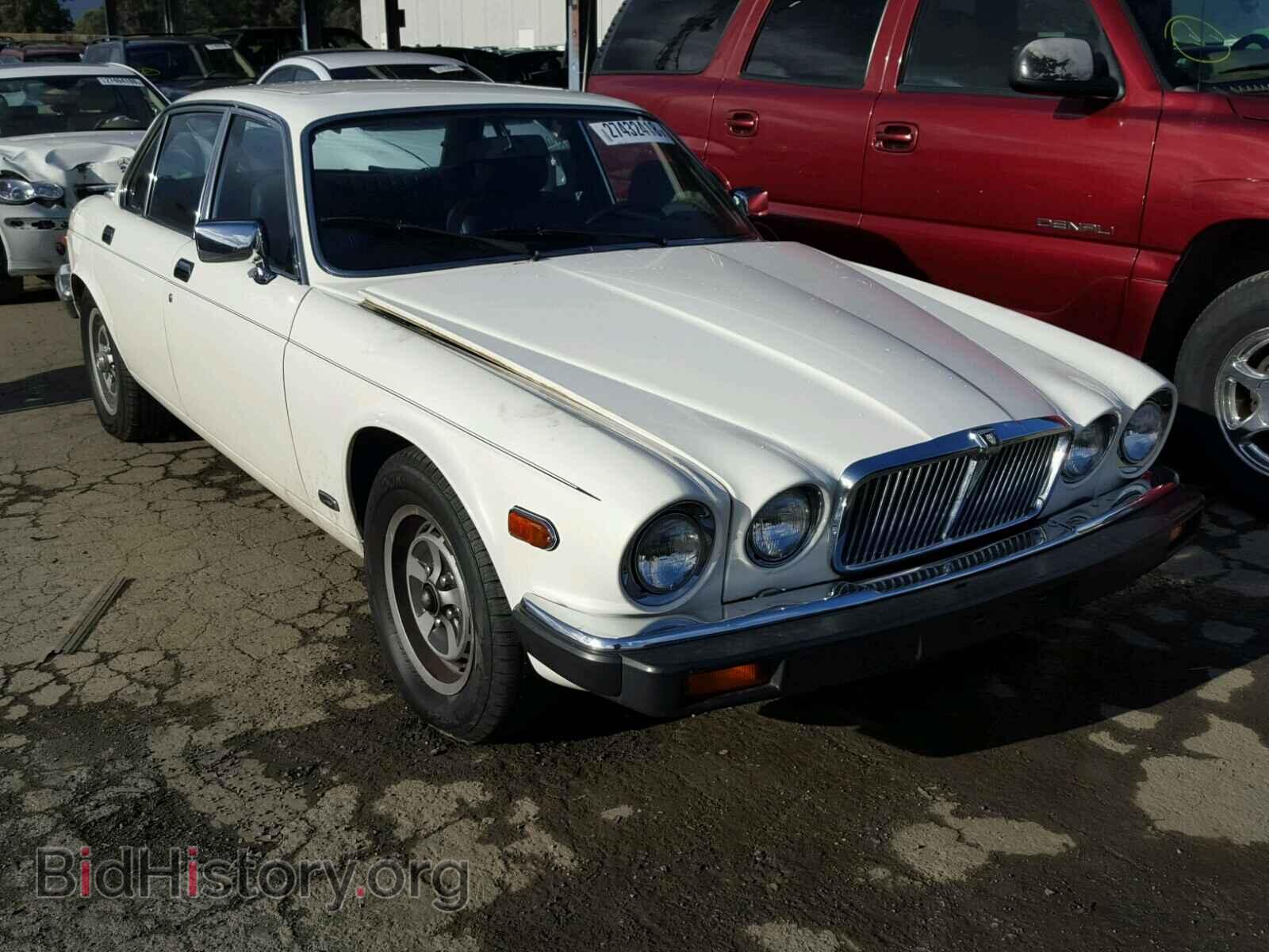 Фотография SAJAV1344DC357276 - JAGUAR XJ6 1983