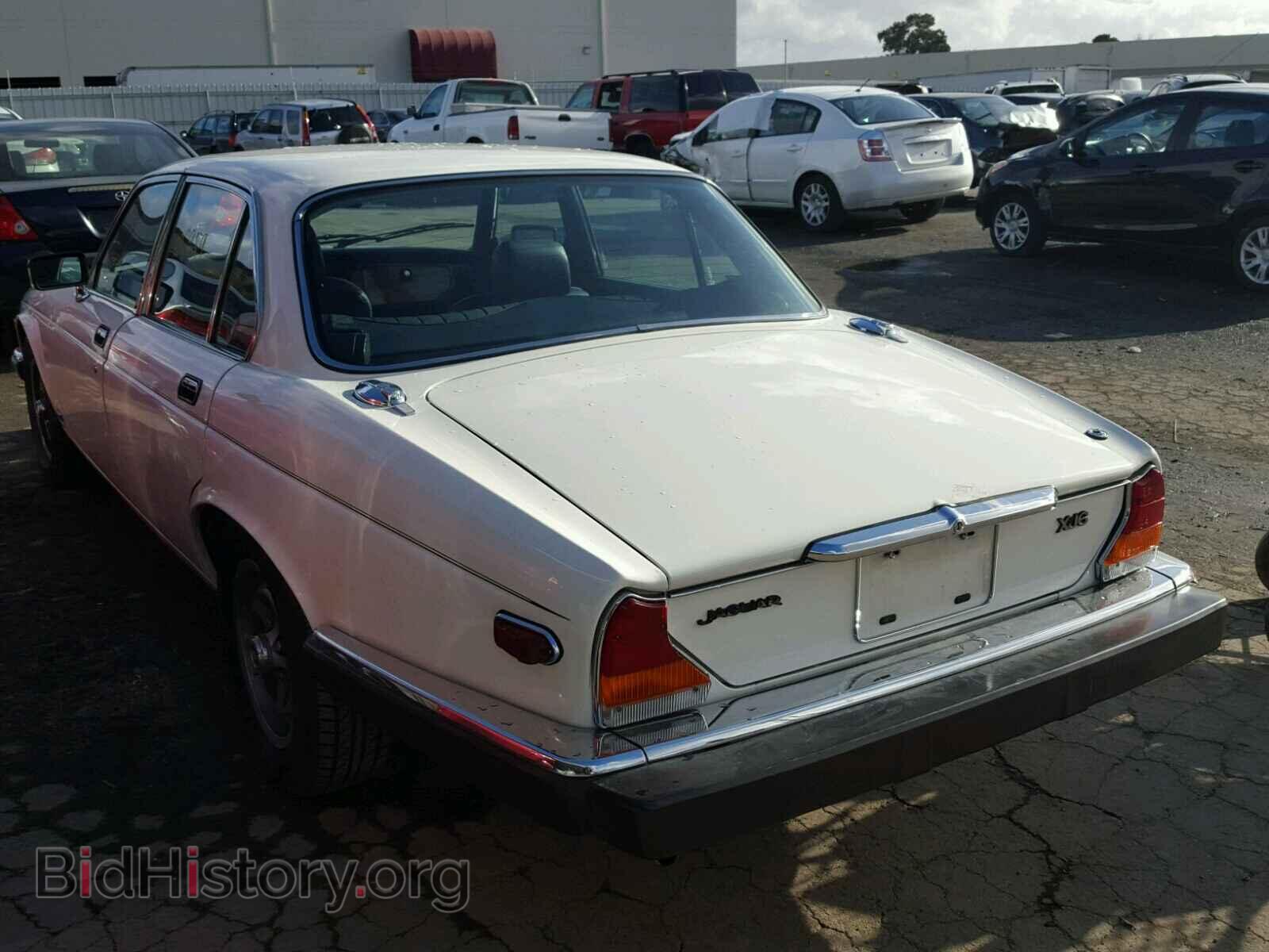 1983 JAGUAR XJ6 - VIN: SAJAV1344DC357276 - Фото 3