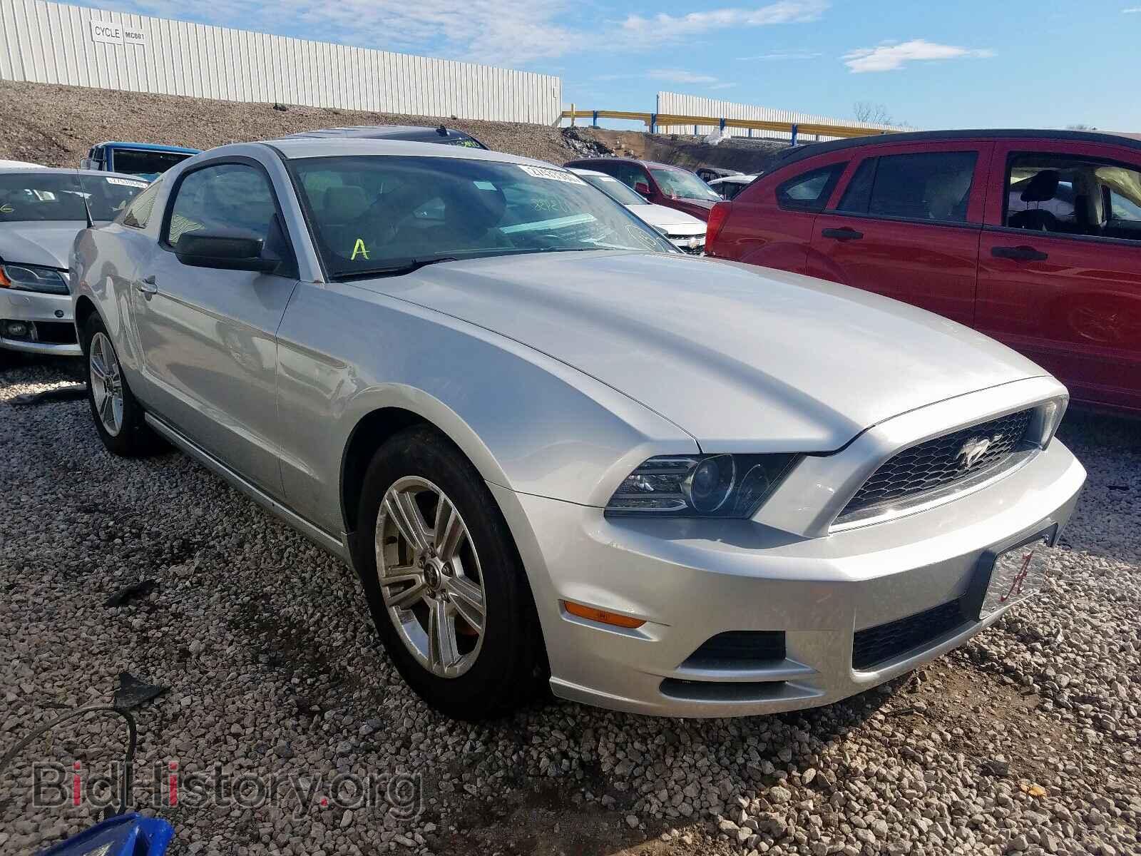 Фотография 1ZVBP8AM3D5260001 - FORD MUSTANG 2013