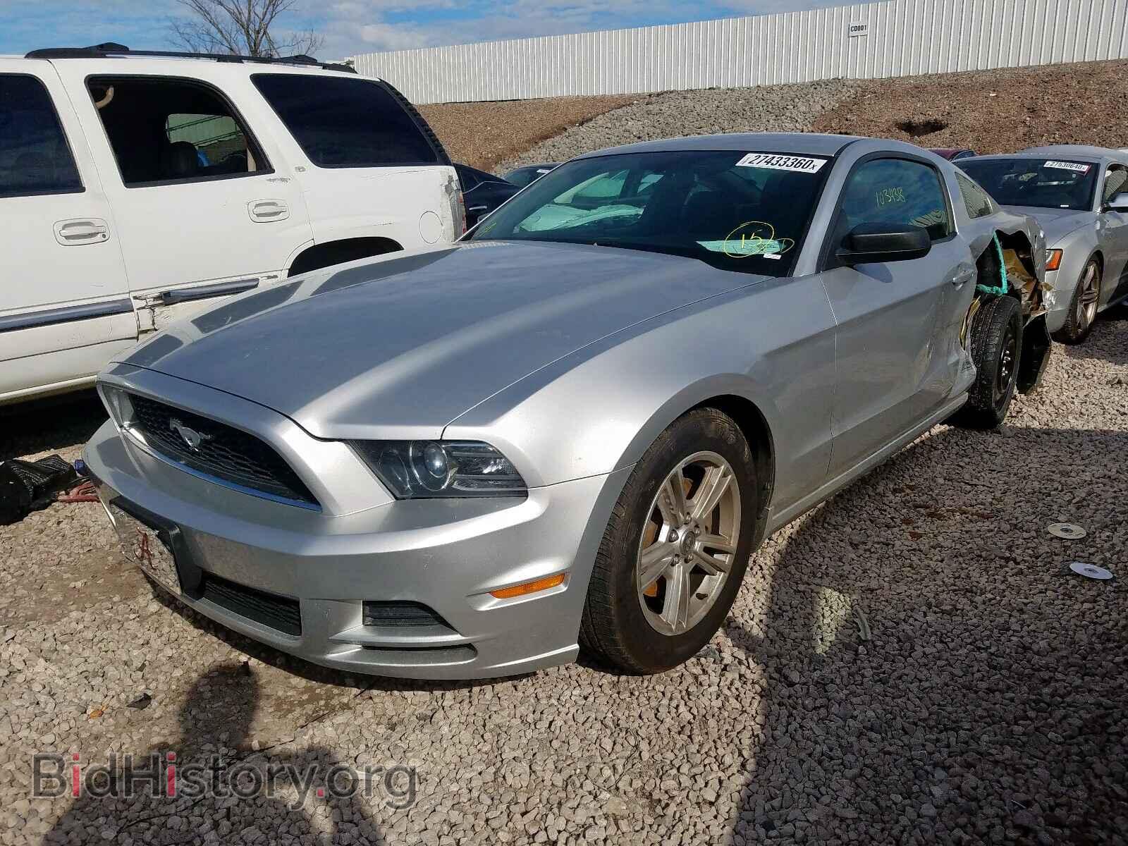2013 FORD MUSTANG - VIN: 1ZVBP8AM3D5260001 - Фото 2