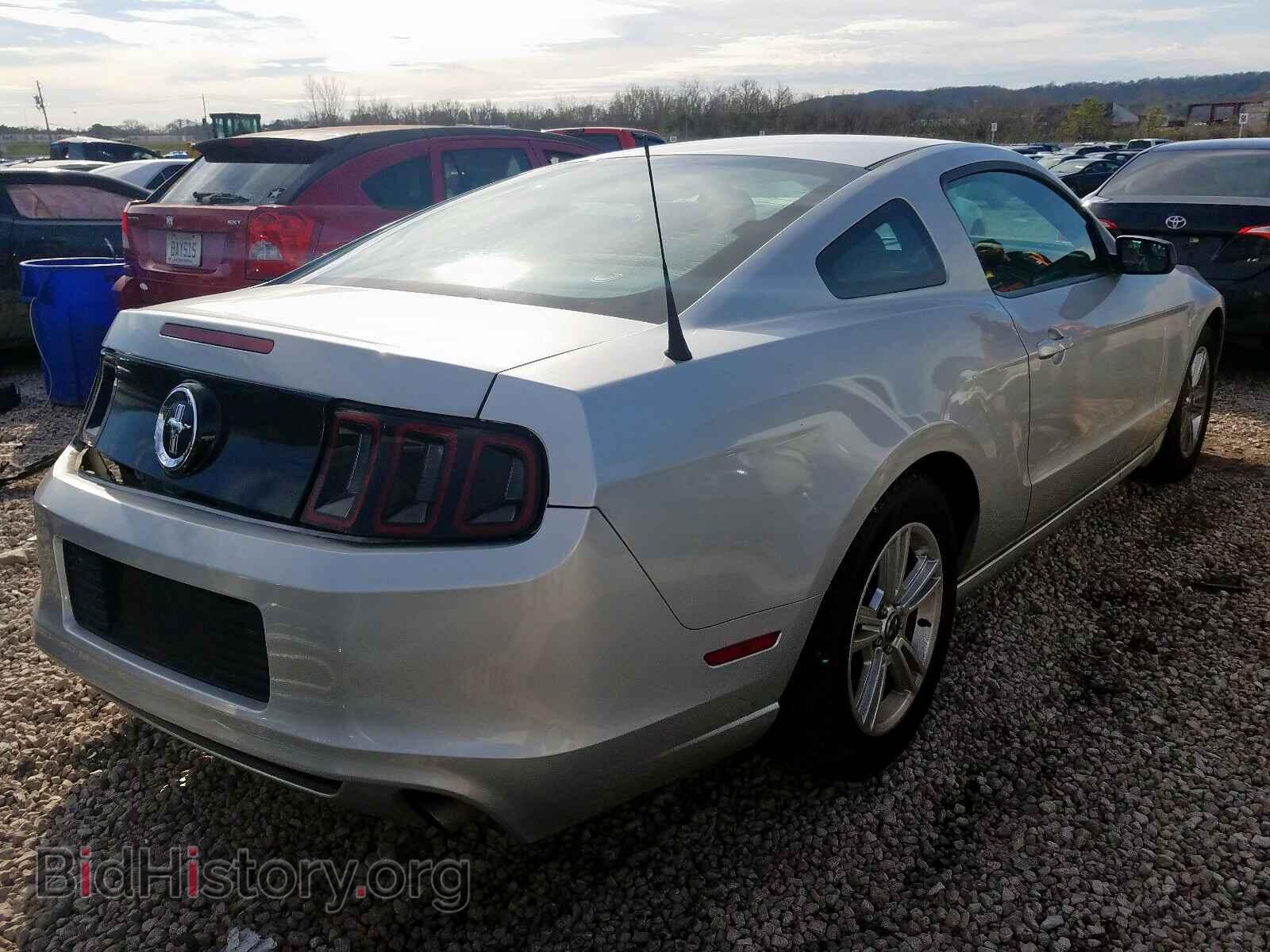 2013 FORD MUSTANG - VIN: 1ZVBP8AM3D5260001 - Фото 4
