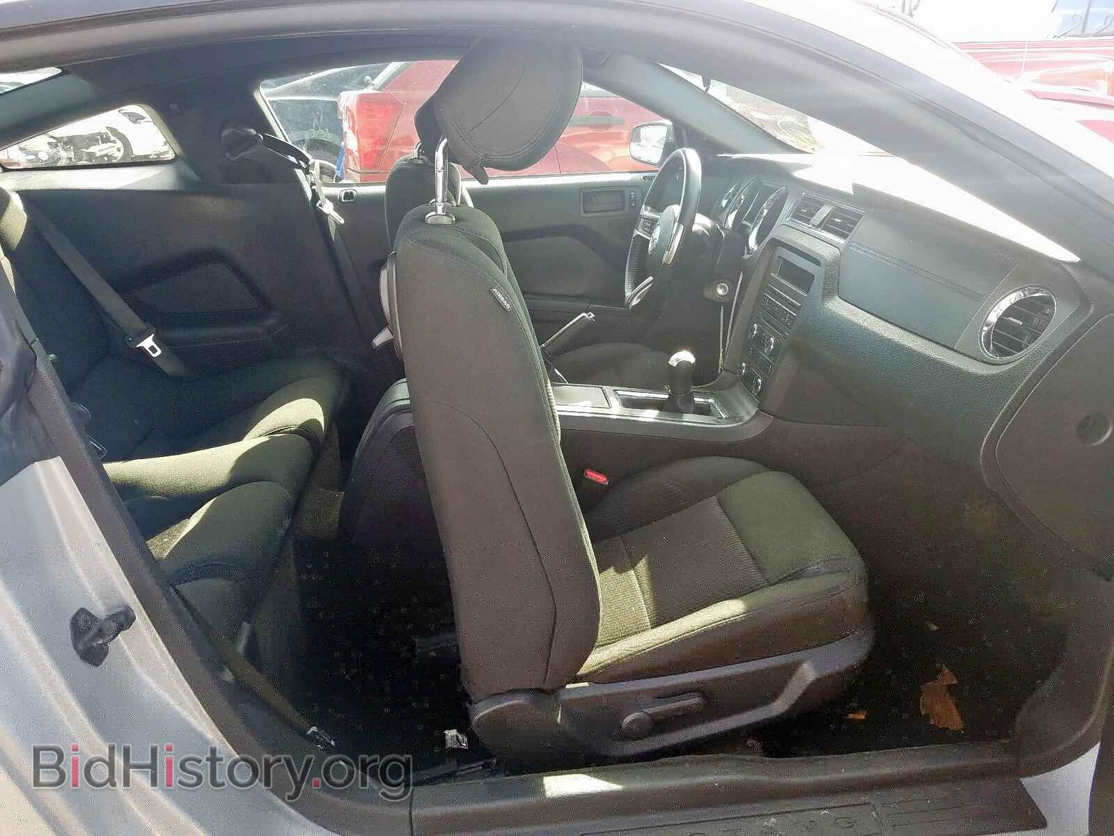2013 FORD MUSTANG - VIN: 1ZVBP8AM3D5260001 - Фото 5