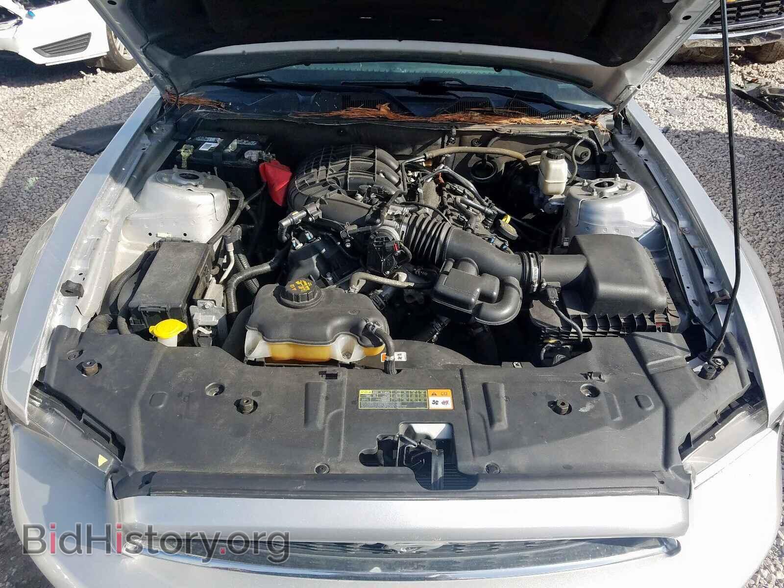2013 FORD MUSTANG - VIN: 1ZVBP8AM3D5260001 - Фото 7