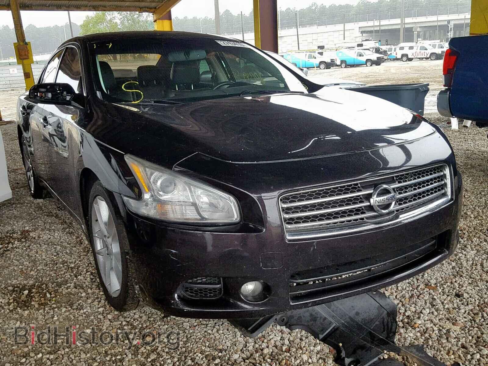 Photo  - NISSAN MAXIMA S 2010