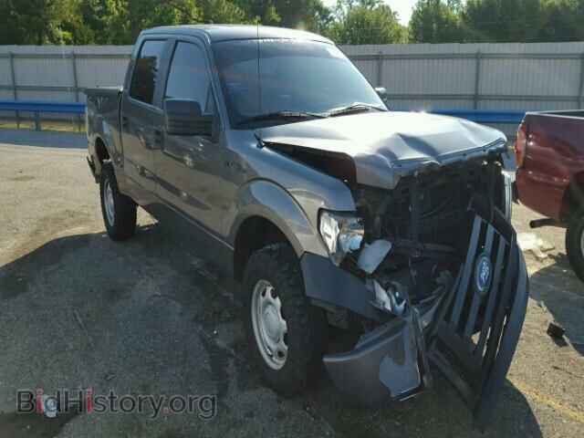 Фотография 1FTFW1EV9AFB33440 - FORD F150 2010
