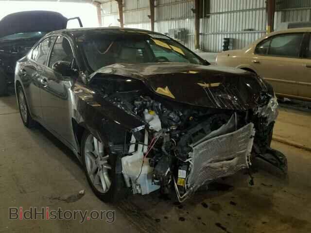 Фотография 1N4AA5AP3BC803421 - NISSAN MAXIMA 2011