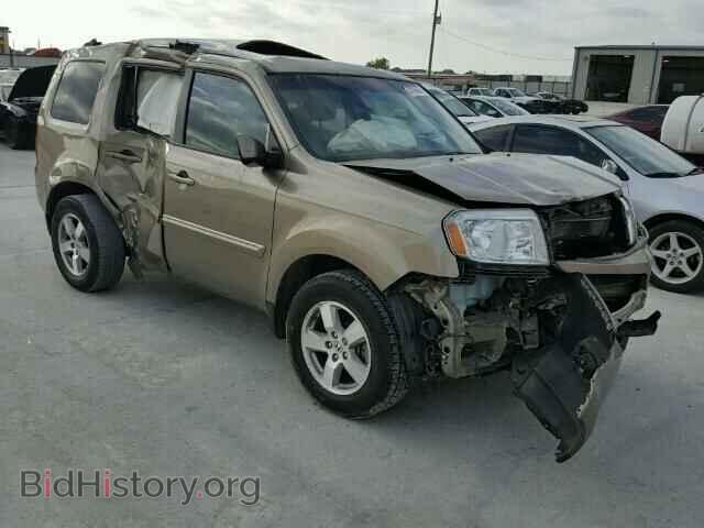 Фотография 5FNYF3H69AB015157 - HONDA PILOT 2010