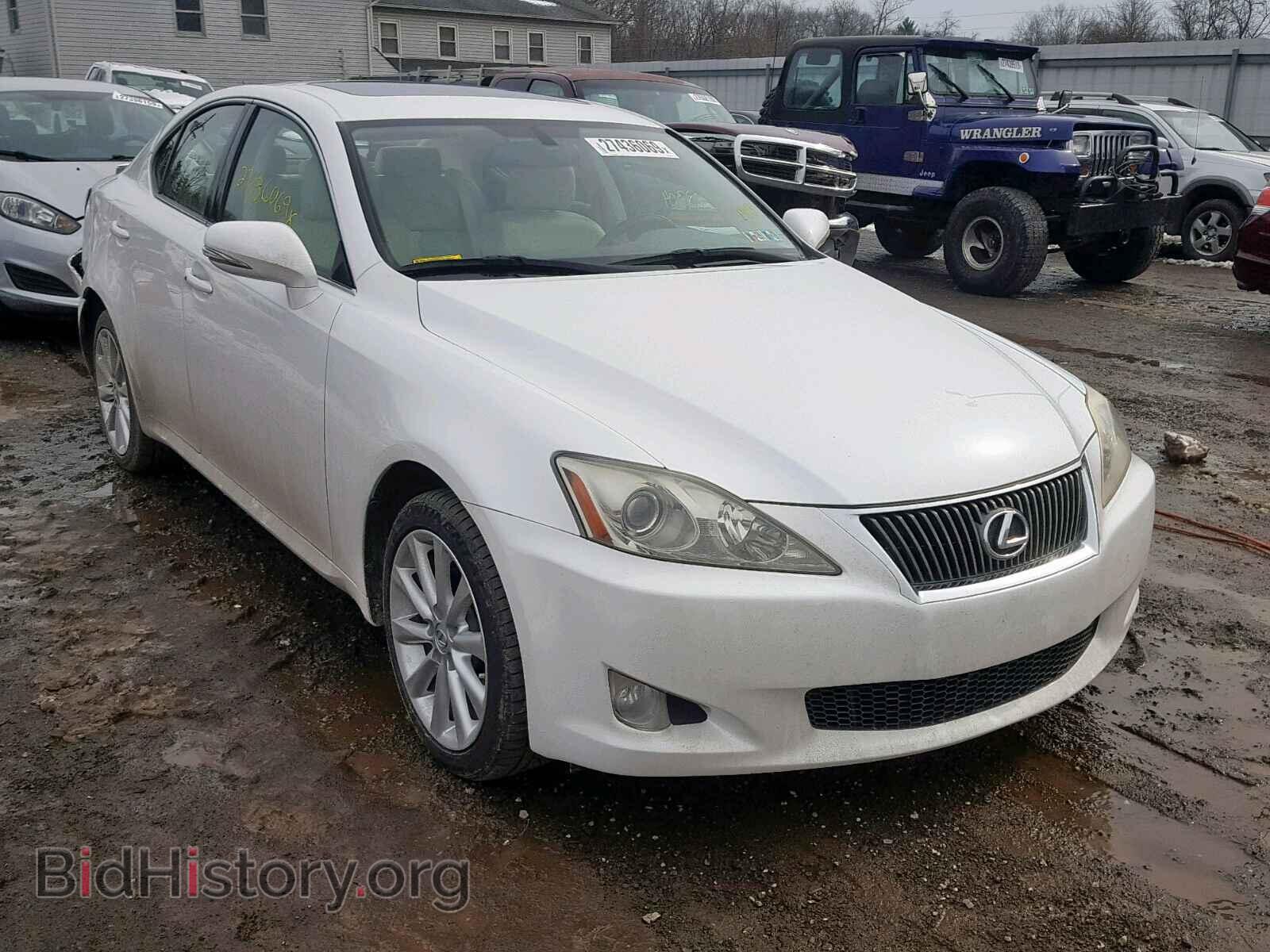 Фотография JTHCK262392031593 - LEXUS IS 250 2009