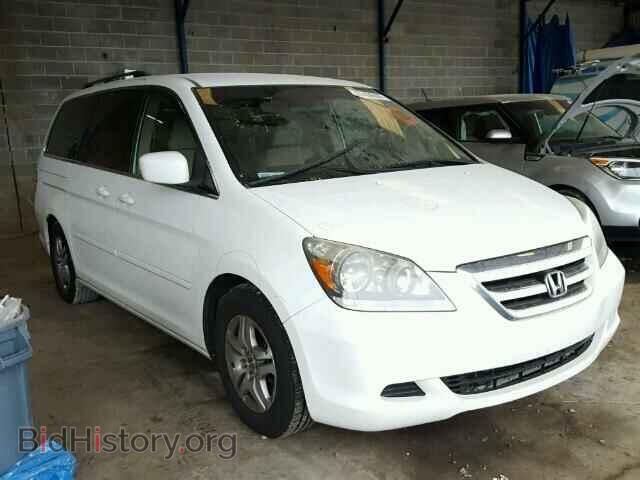 Фотография 5FNRL38465B407420 - HONDA ODYSSEY 2005