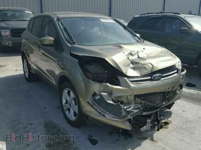 Фотография 1FMCU0G95DUC72818 - FORD ESCAPE 2013