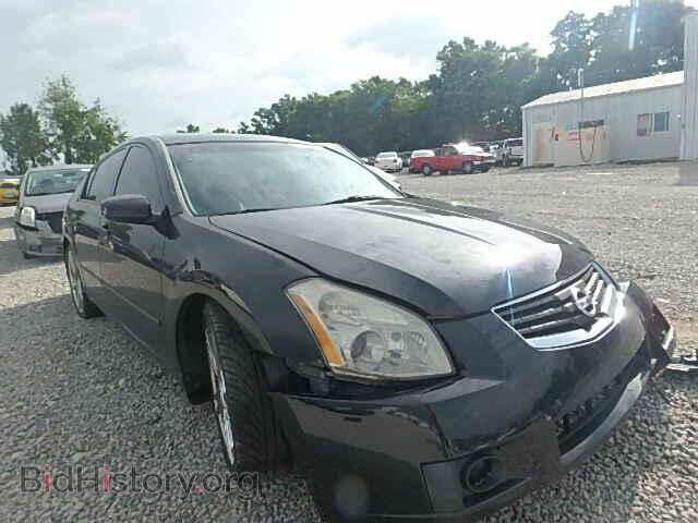 Photo 1N4BA41E08C803480 - NISSAN MAXIMA 2008