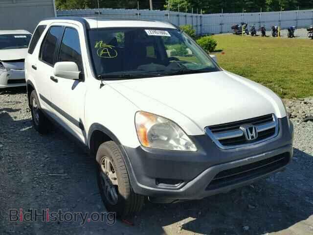 Фотография JHLRD78883C043067 - HONDA CRV 2003