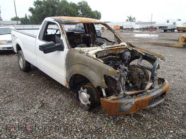 Photo 1FTMF1EM0DKG33223 - FORD F150 2013